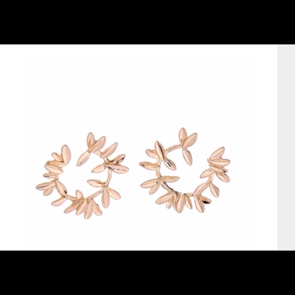 Fashion earrings